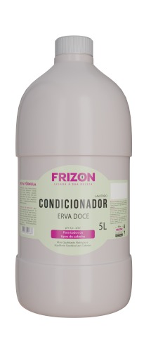 CONDICIONADOR PROFISSIONAL ERVA DOCE 5000ML